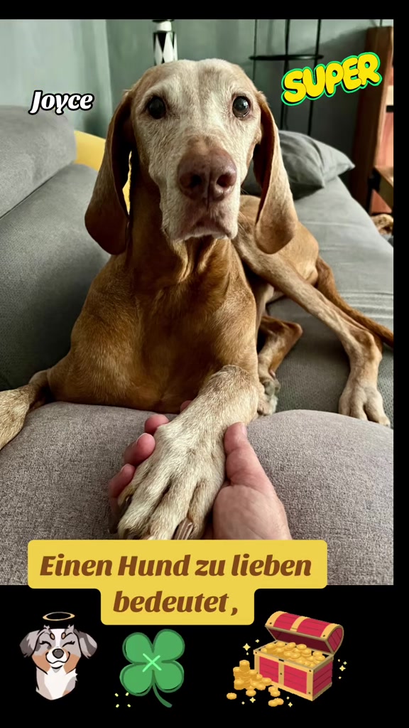 @Ulla. Pfoten-Liebe. ❤️