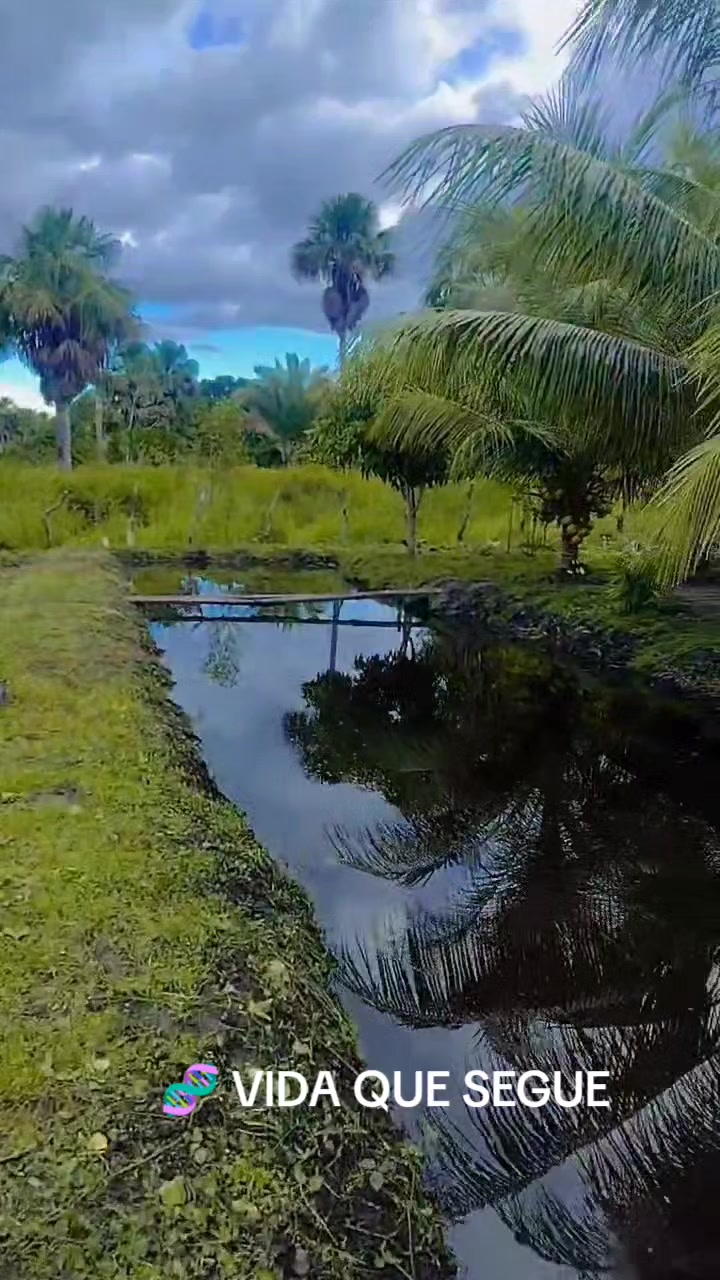 @PAULO VIANA