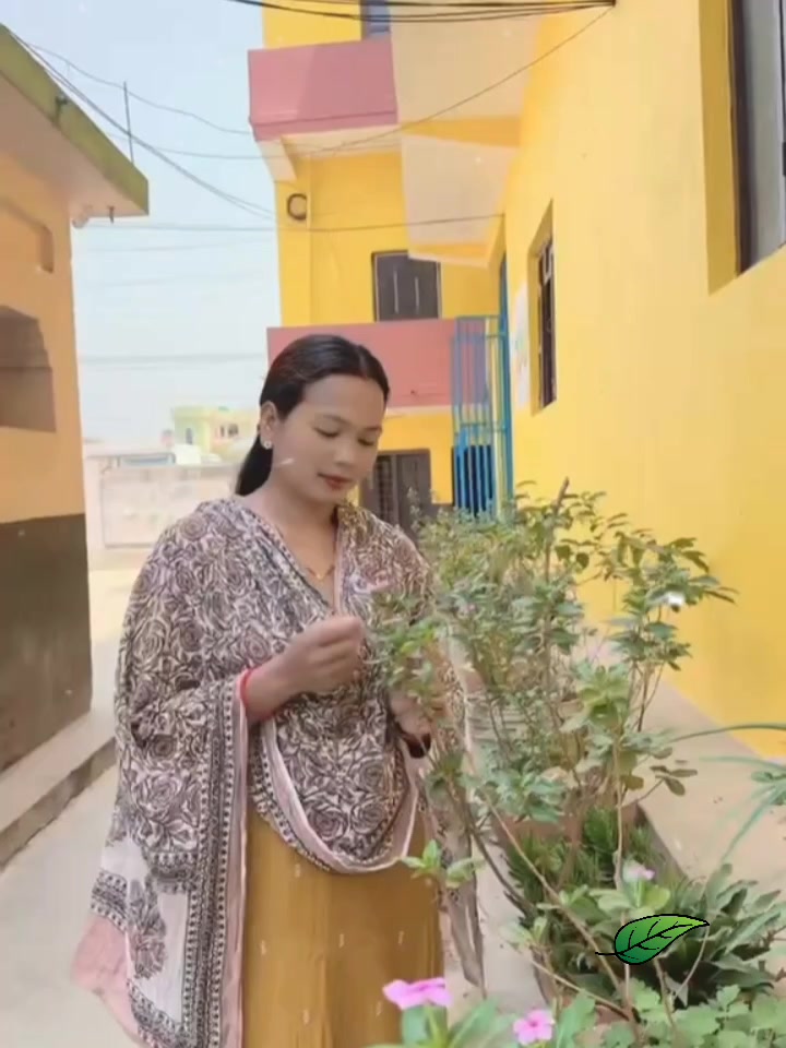 @darsanachy