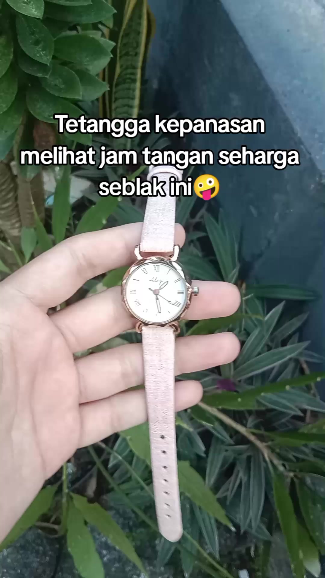 @S-tetik 🛒