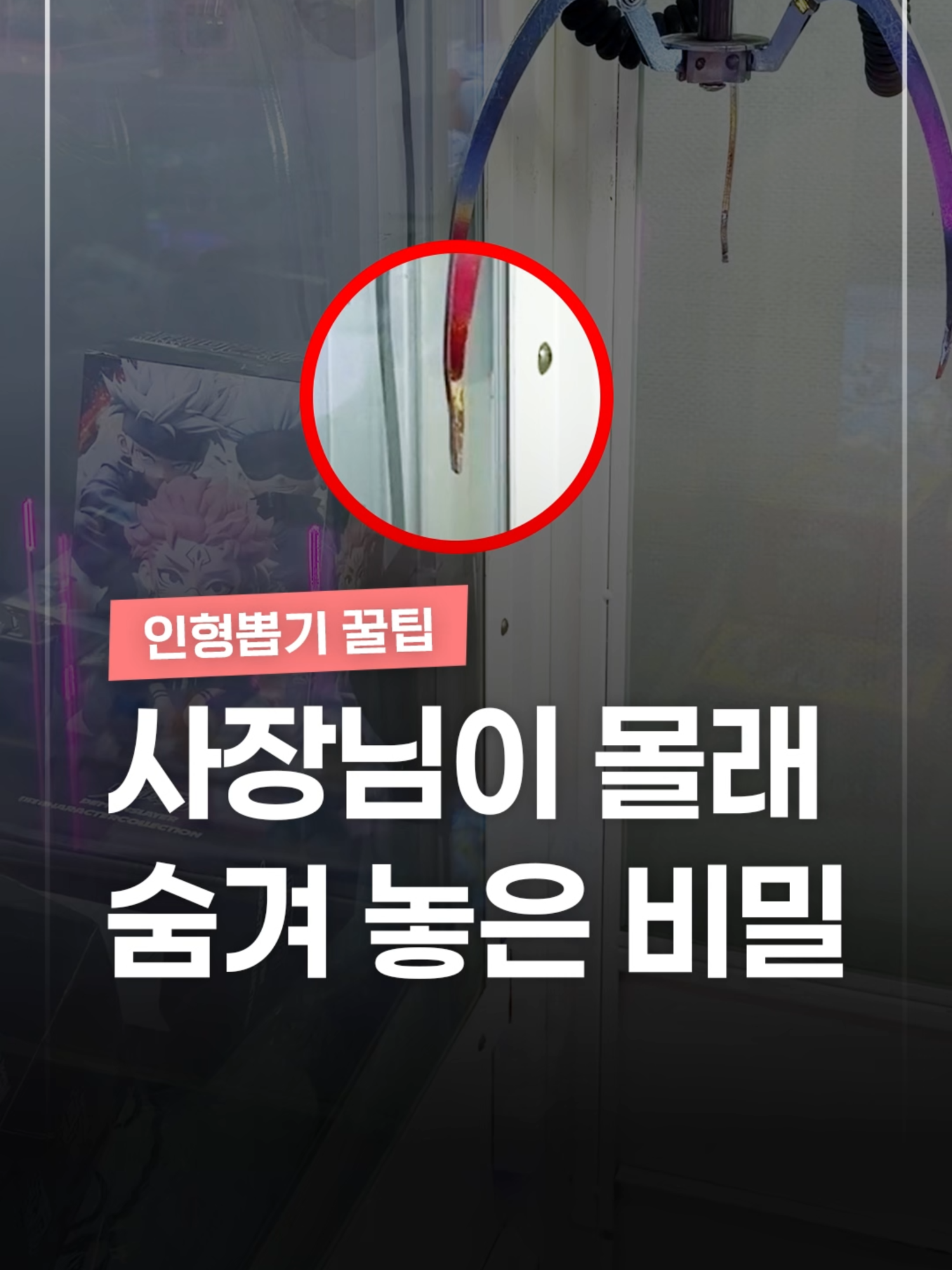 @짤컷
