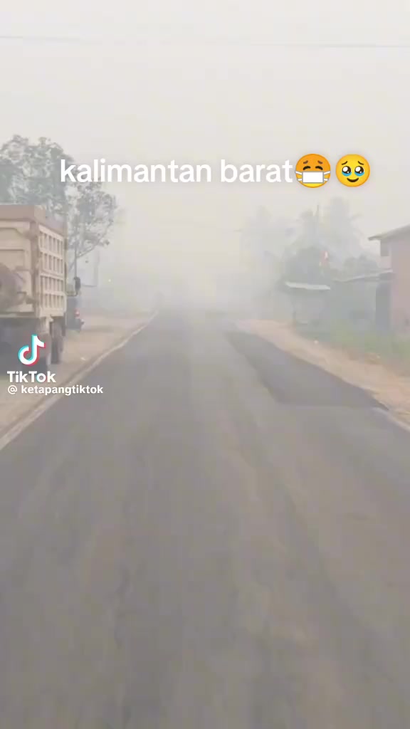 @dedekhimawari91