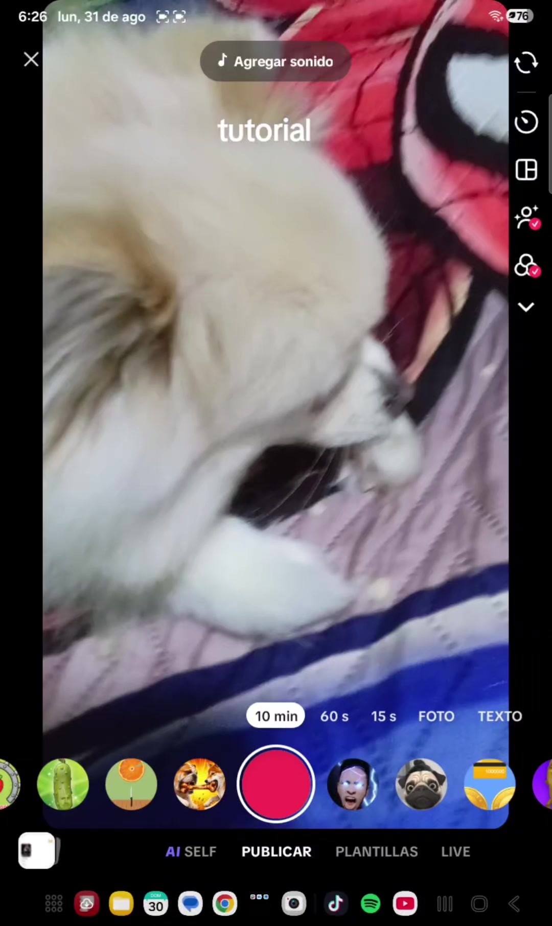 @christocrack0159xddd