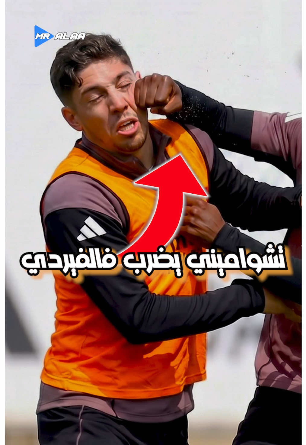 @Mister Alaa
