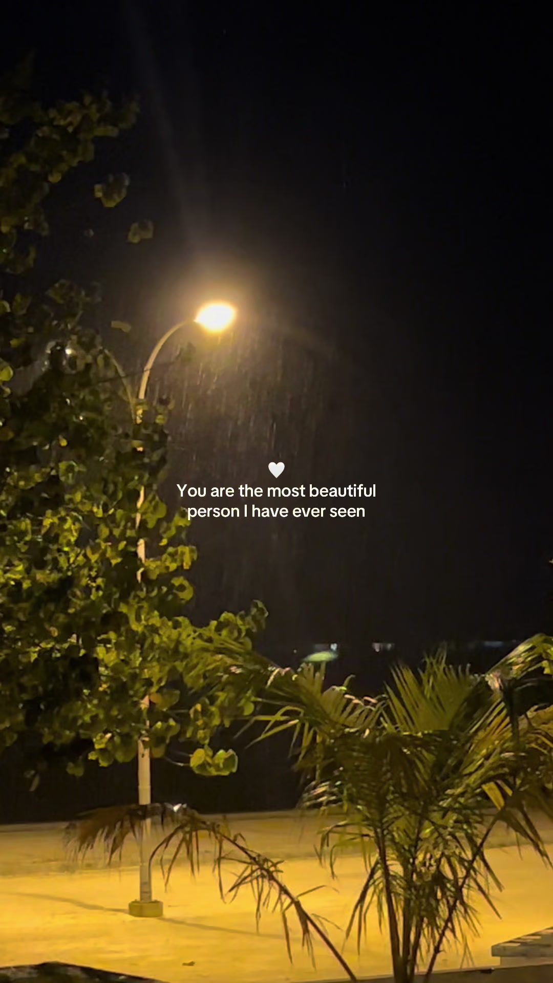 @dul