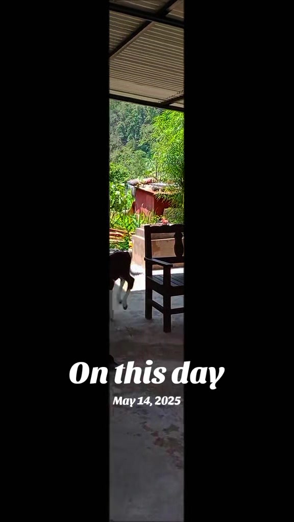 @Krishna Adhikari