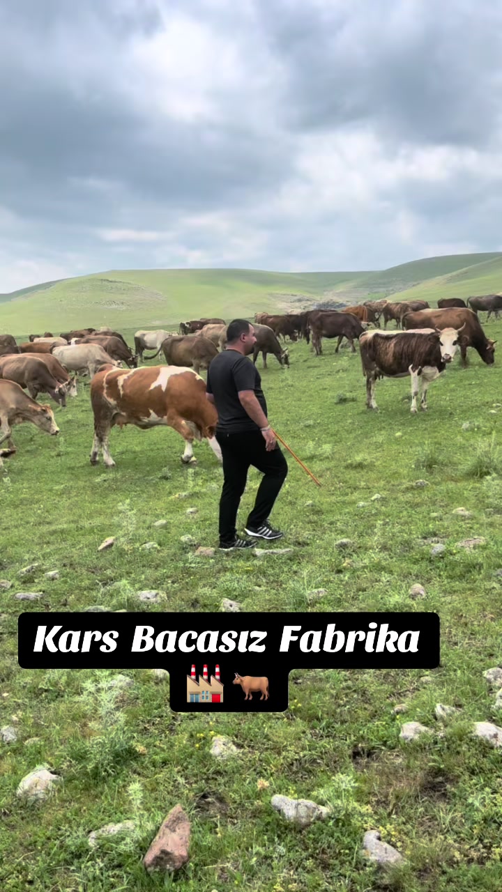 @👑KARSDOĞUBESİCİLİK05536304236