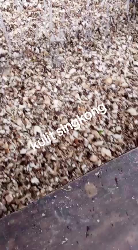 @PT MITRA PAKAN TERNAK