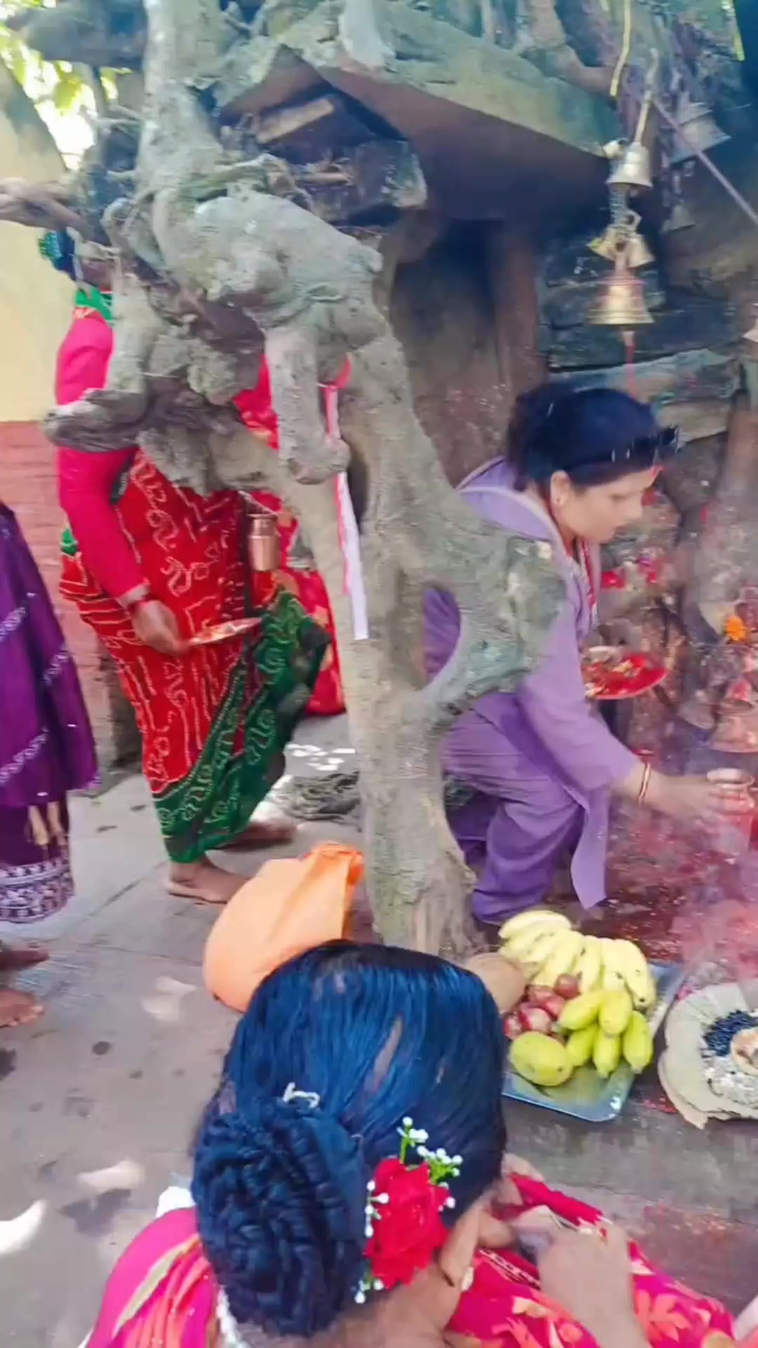 @geeta nepal11