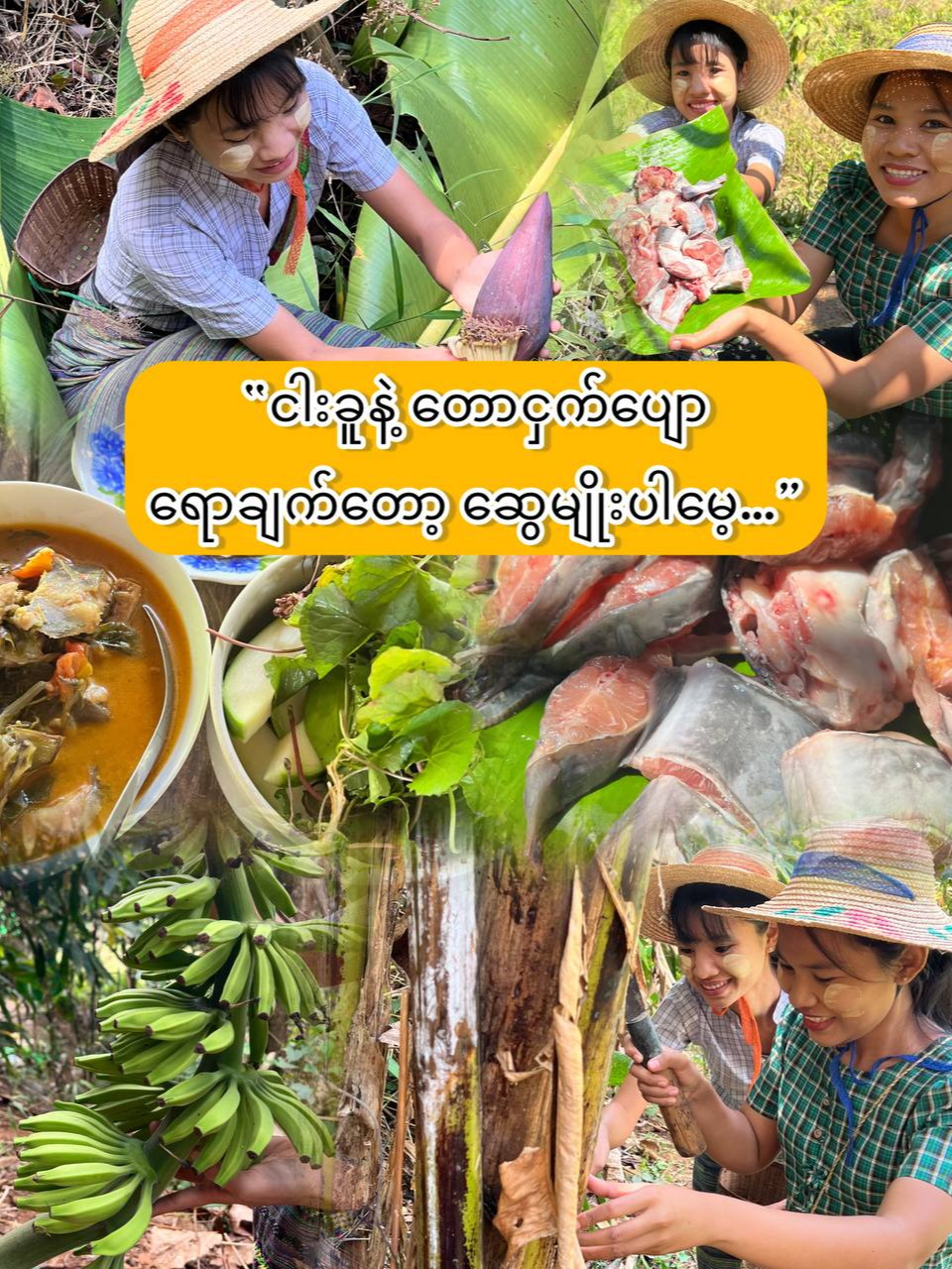 @Yar Taw Thu - ယာတောသူ