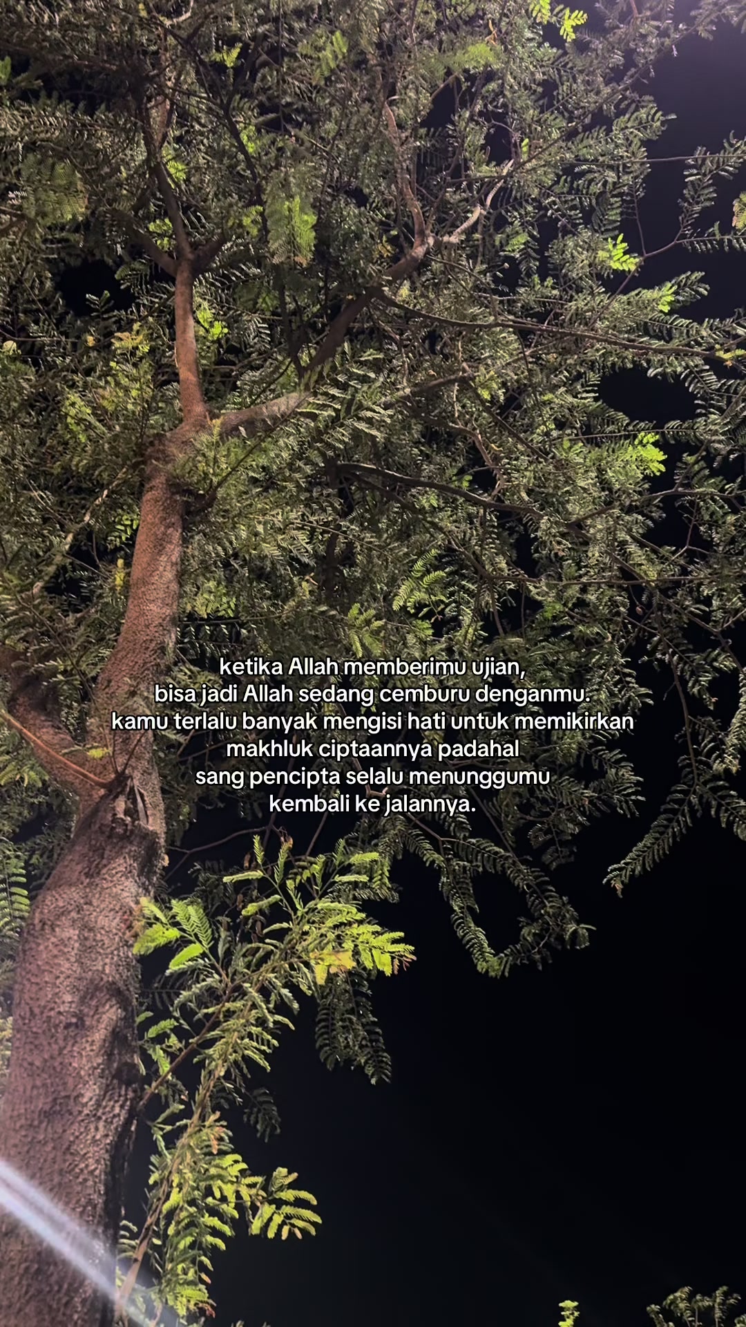@z&sigma;&eta;&alpha;&ensp;g&alpha;ℓ&alpha;&upsilon;