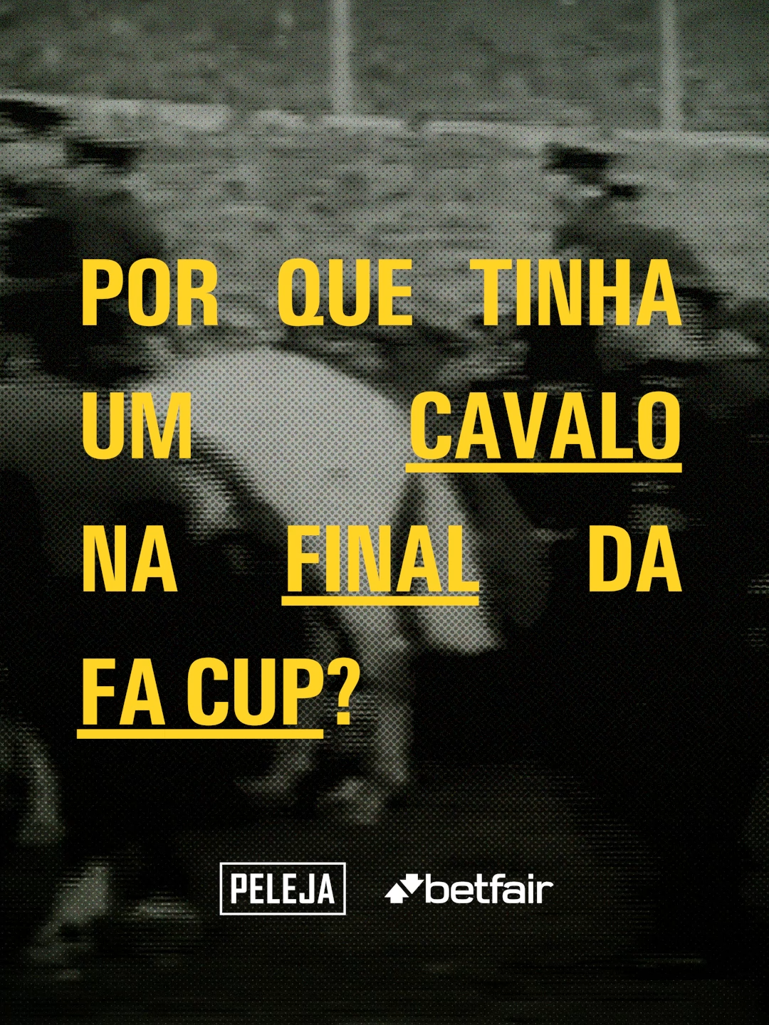 @PELEJA