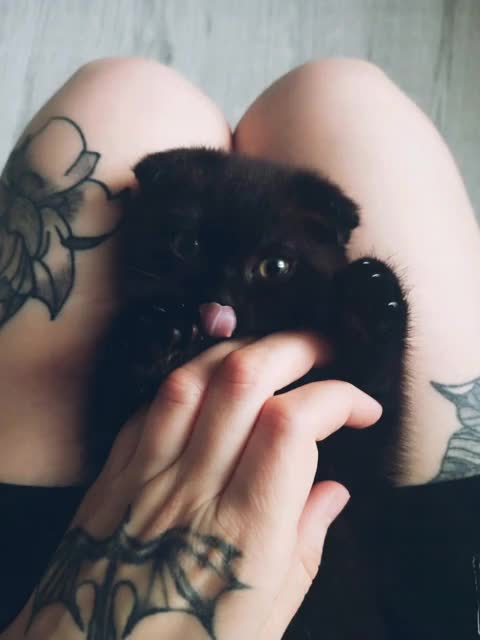 @🖤🖤🖤 🖤🖤🖤