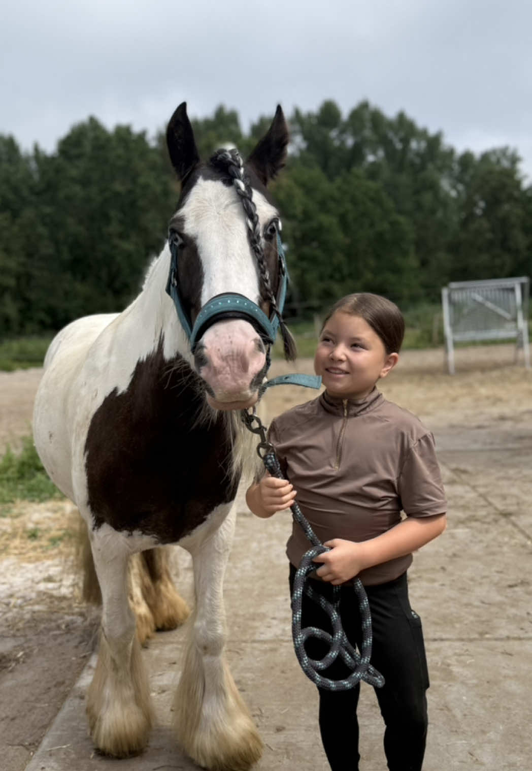 @Young Rider Journey🐴