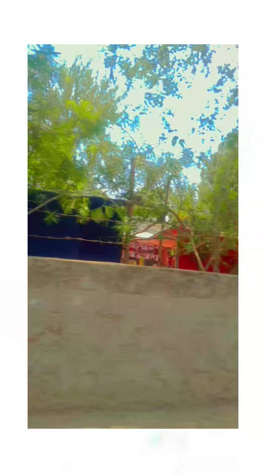 @موہل بادشاہ