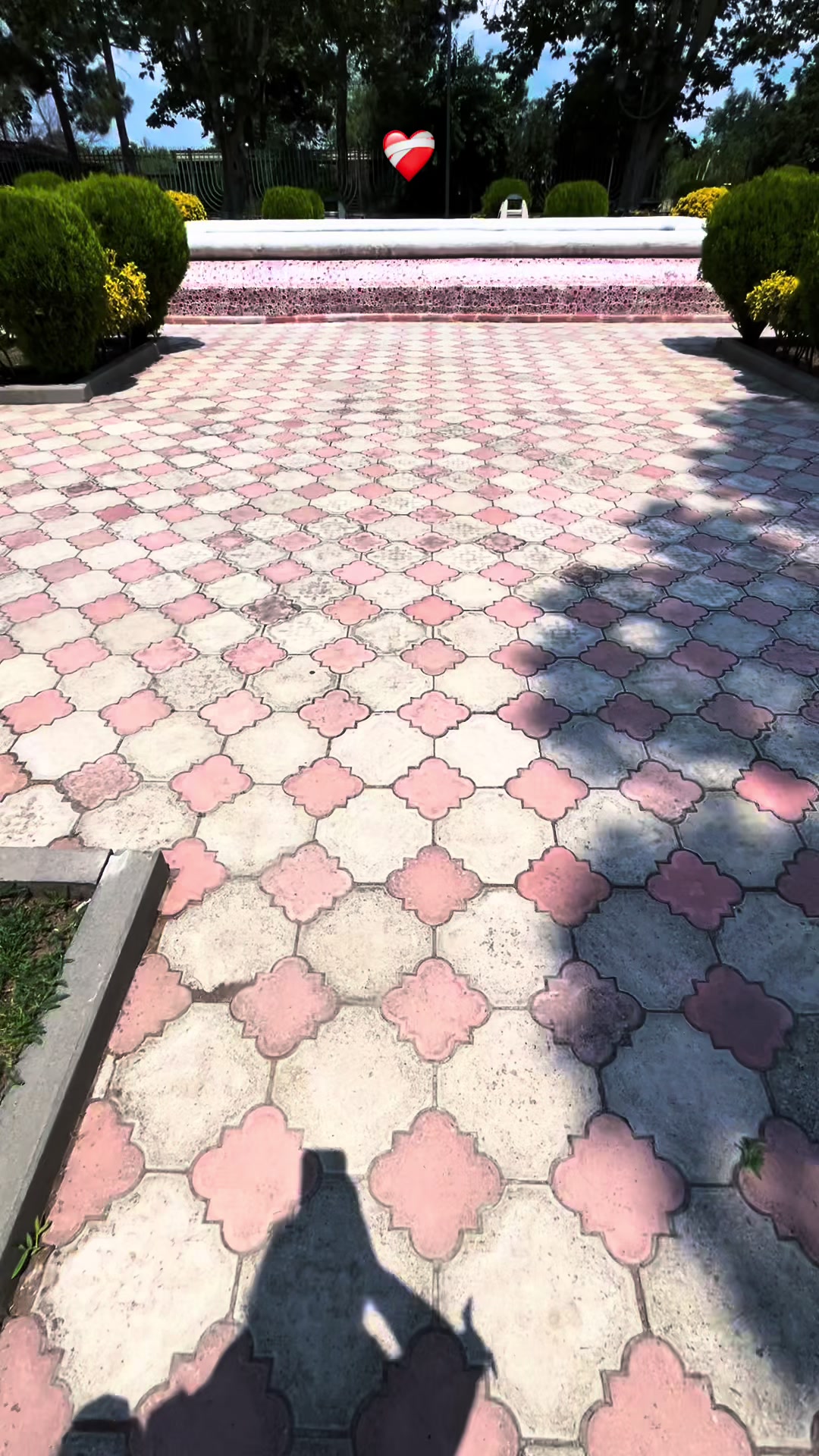 @𝓢𝓲𝓶𝓪𝓷𝓸𝓿𝓪