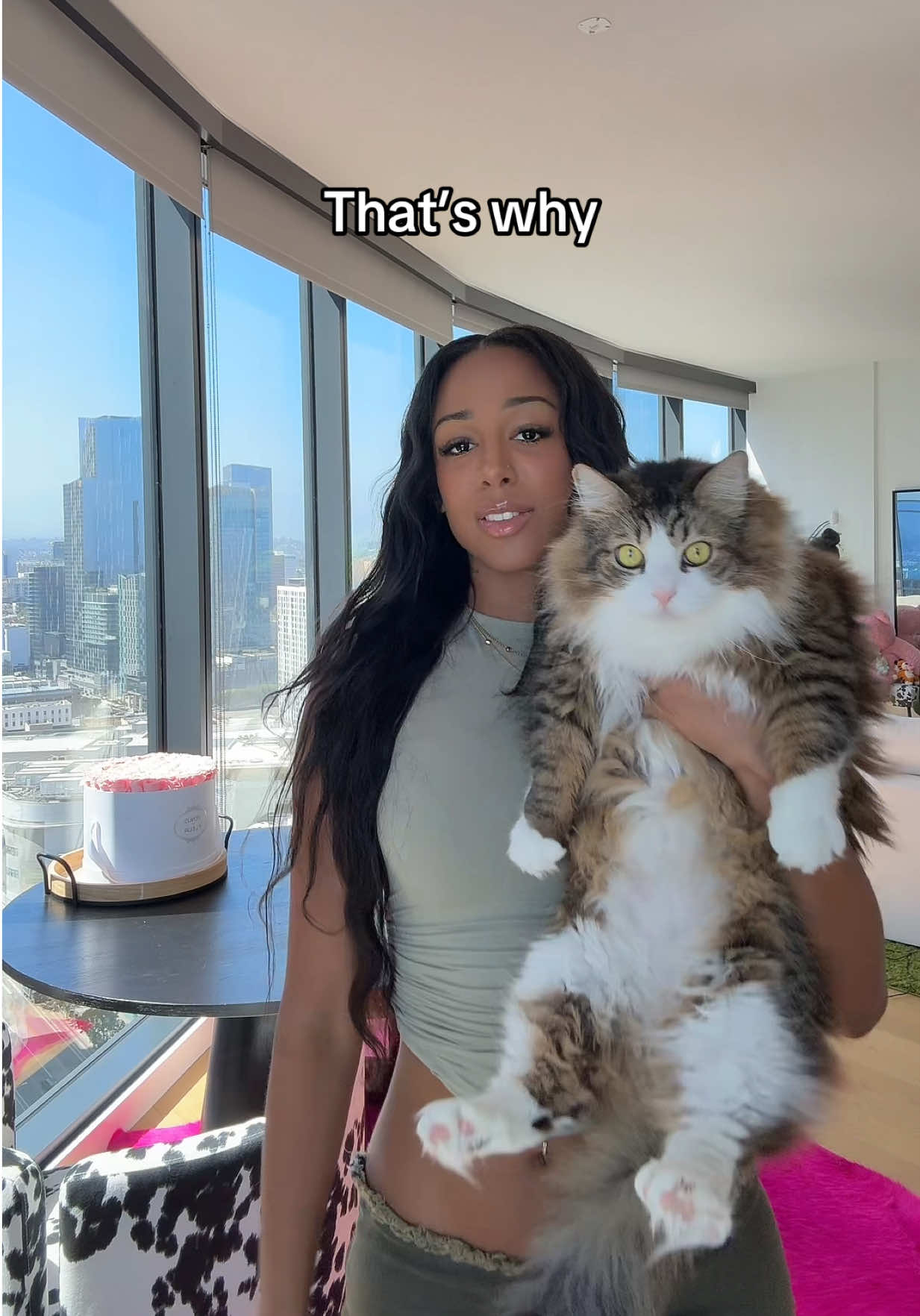 @playboysary