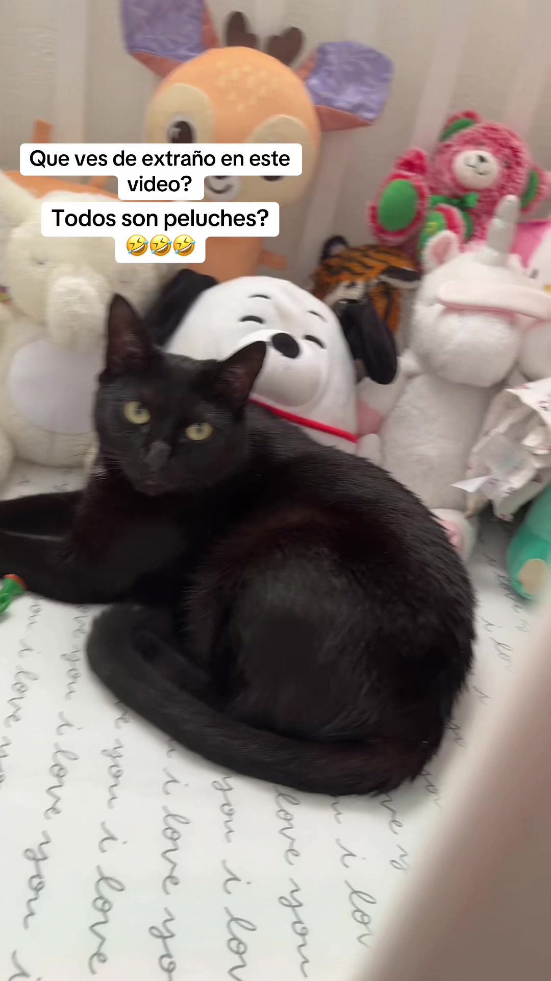 @I’m Kitty 🐈⬛