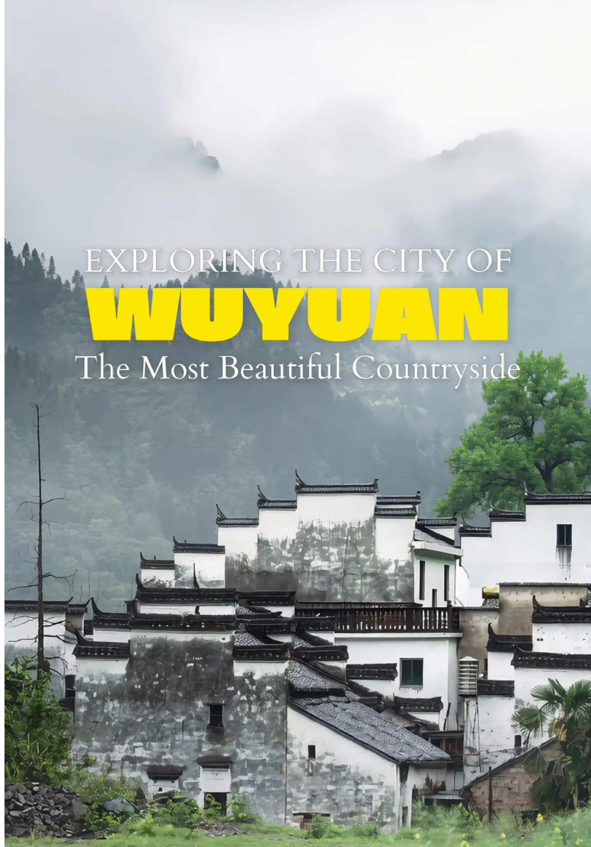 @youyouxing.travel