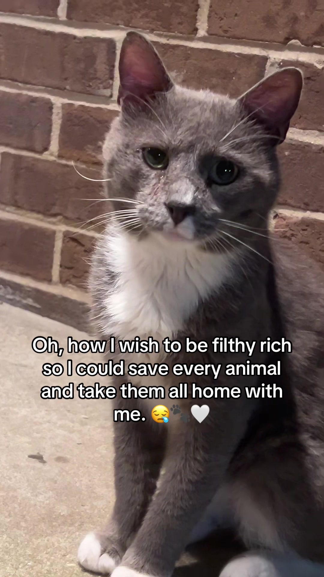 @urfriendlyghostzzz