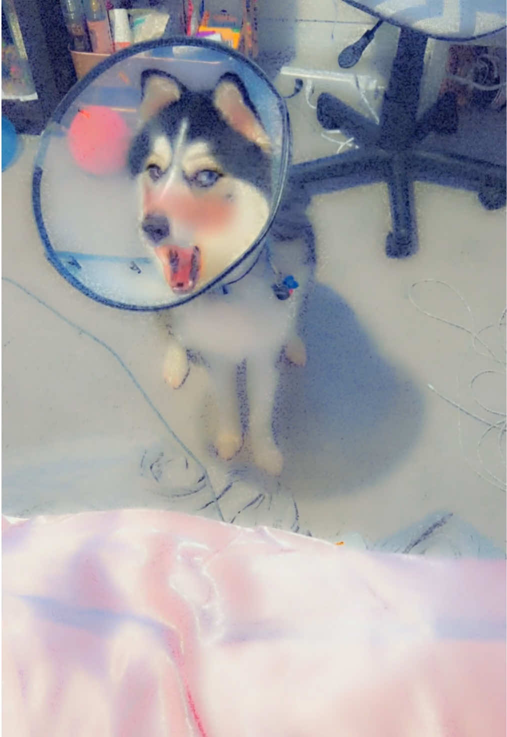 @☆彡Abby🪼★彡