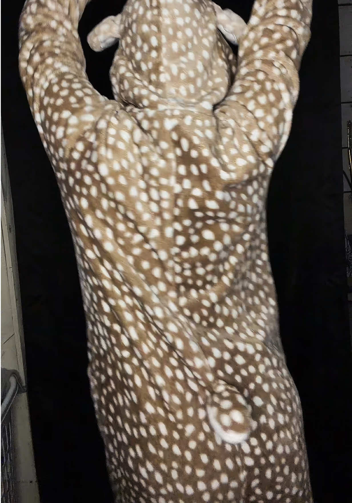 @Kat