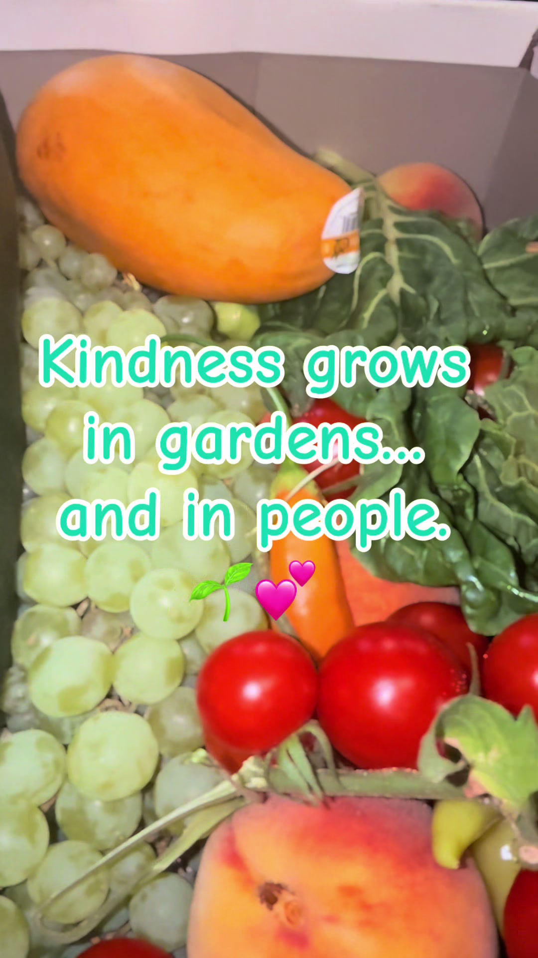 @Ms. Cindy D Gen ❌ 🥑🌱🌶️🍓👵