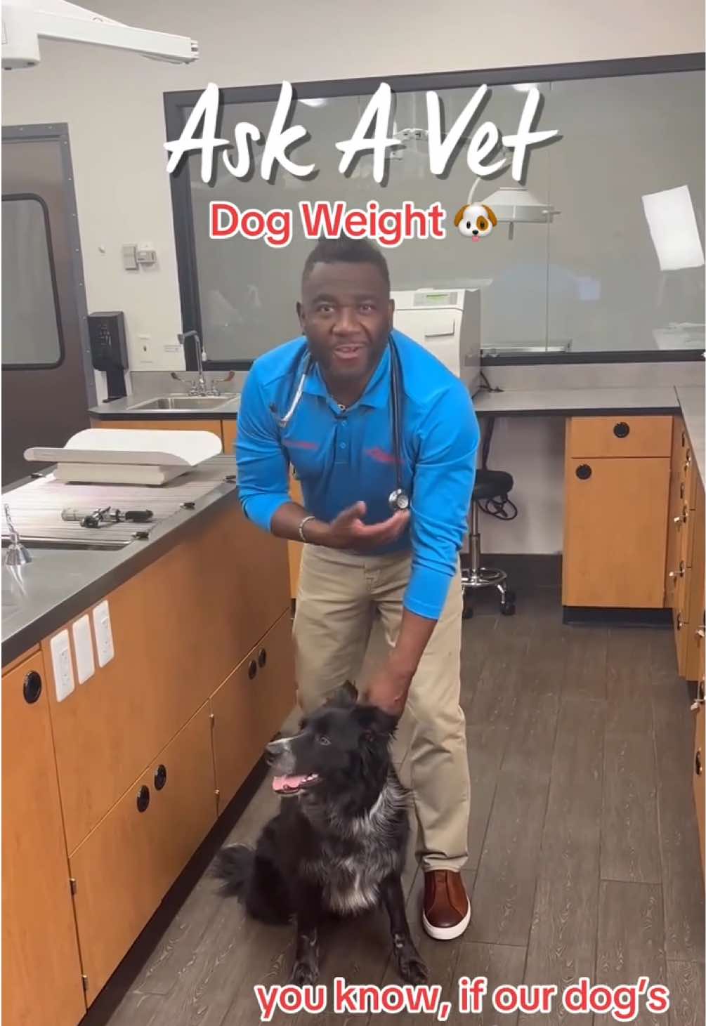 @PetSmart