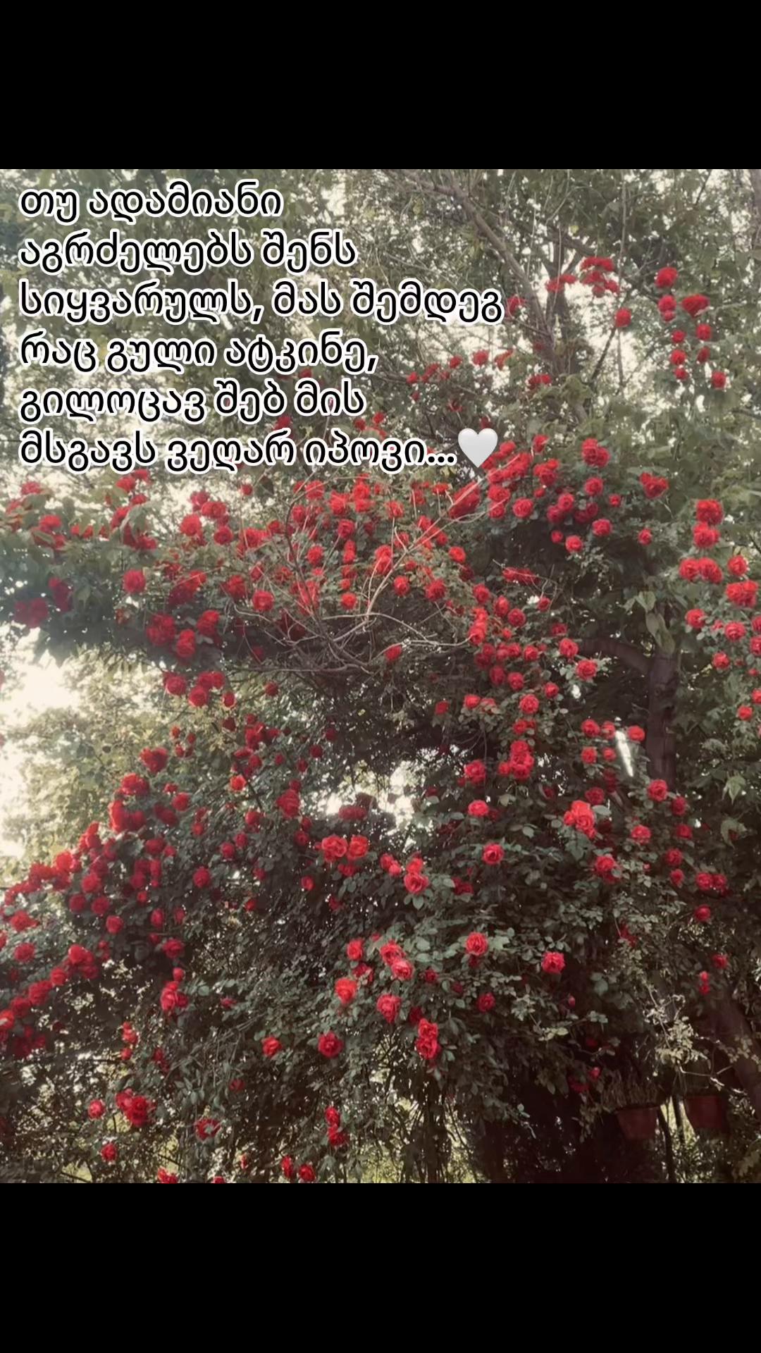 @_pukiy_05