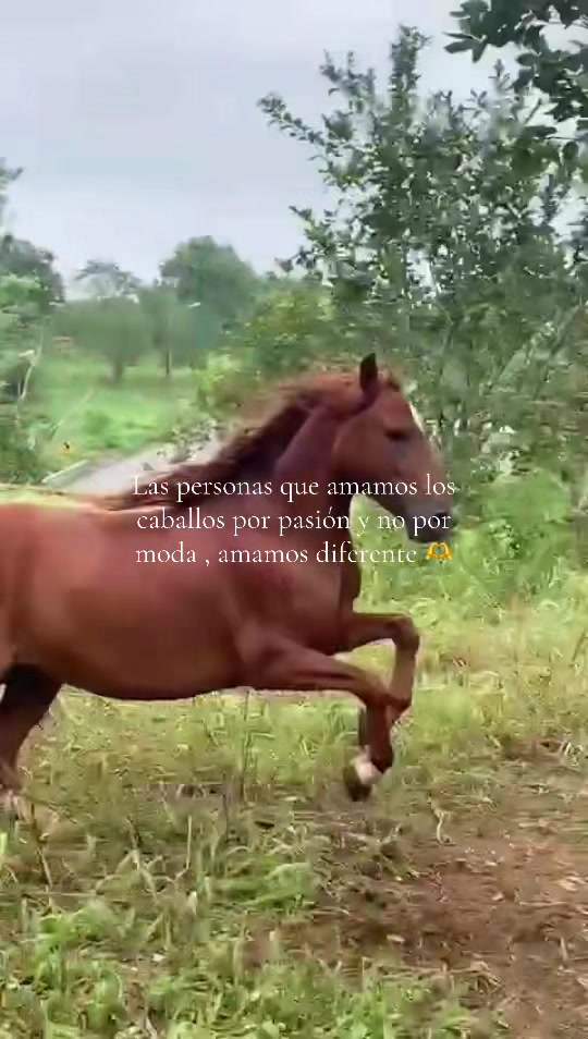 @Isa 🐴👩🏻⚕️