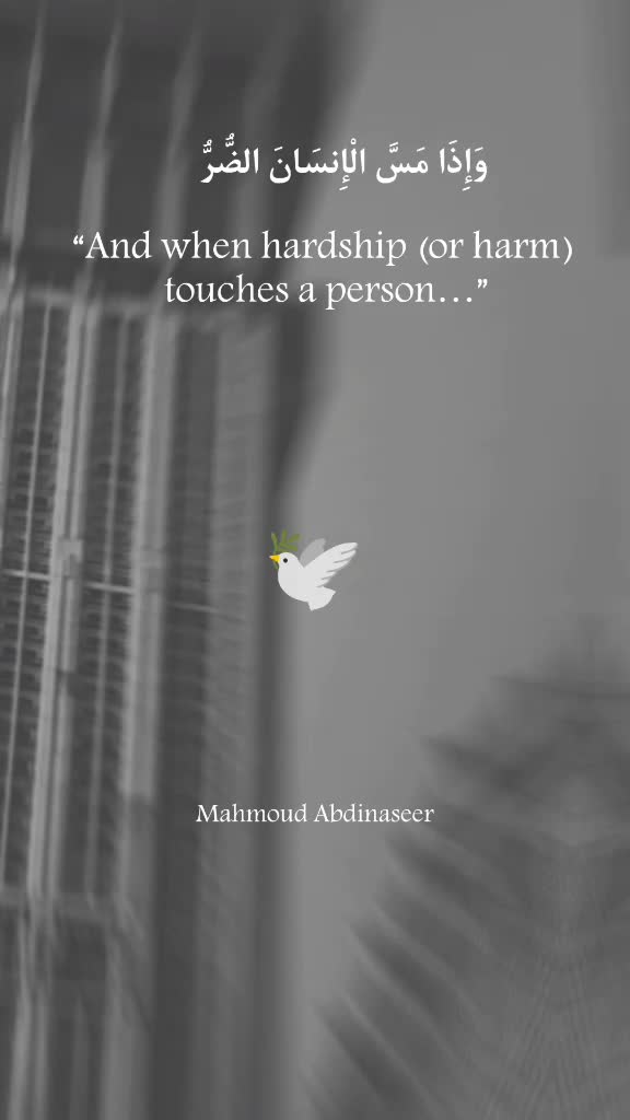 @Mahmoud Abdinaseer 🕊