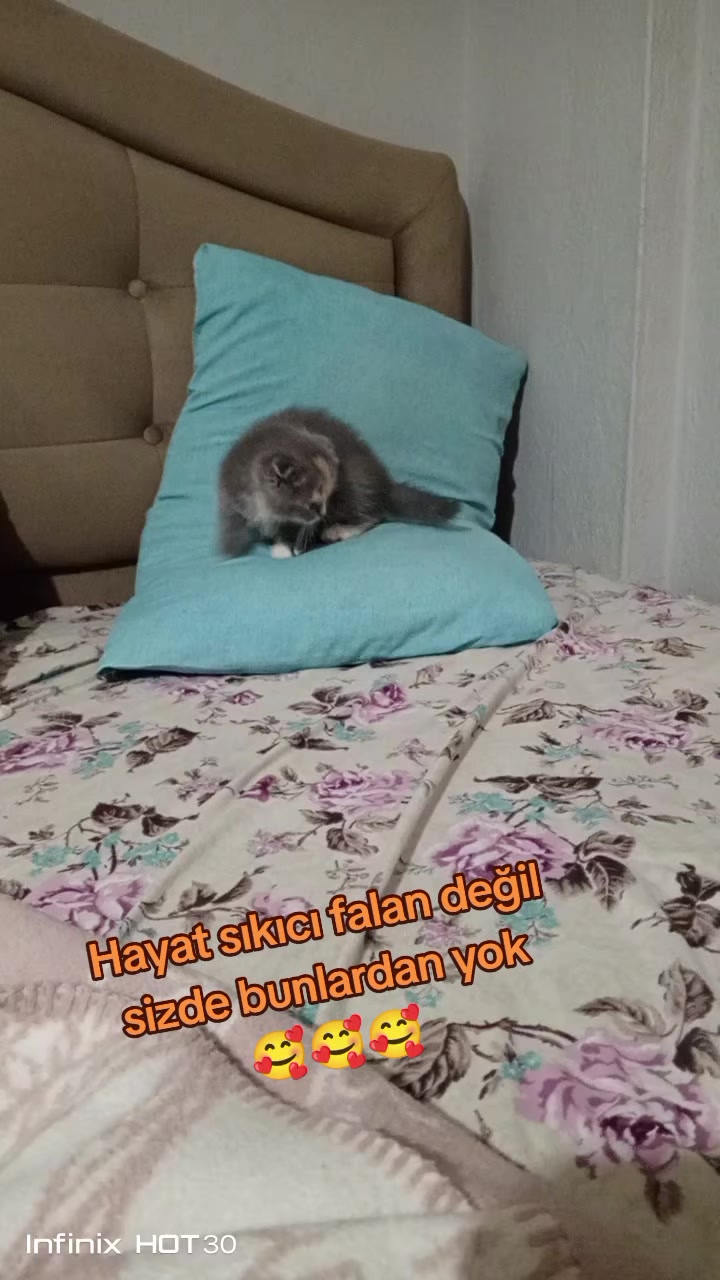 @zuzu20