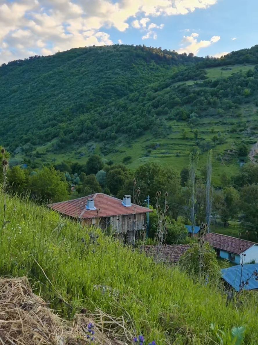 @Meryem bahçeci