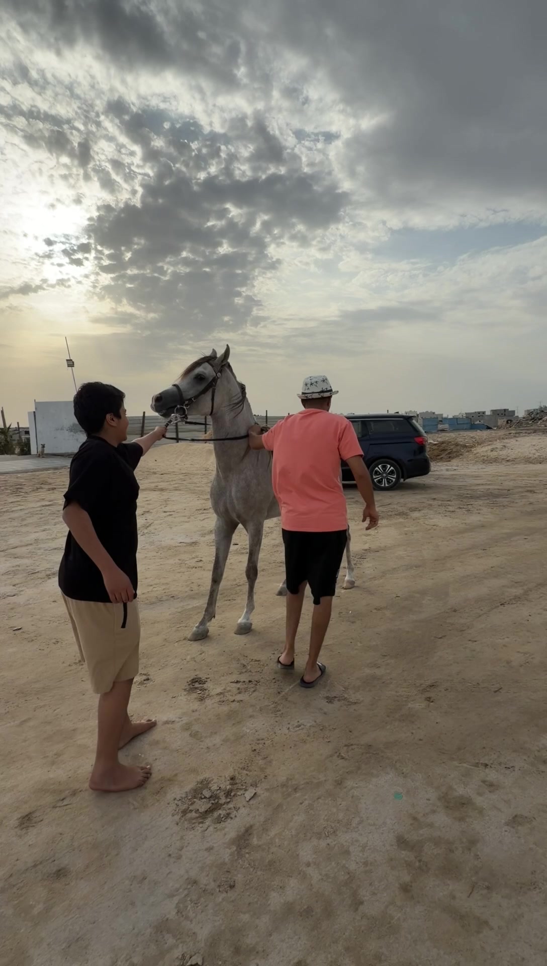 @محمد المساعد🐎📸