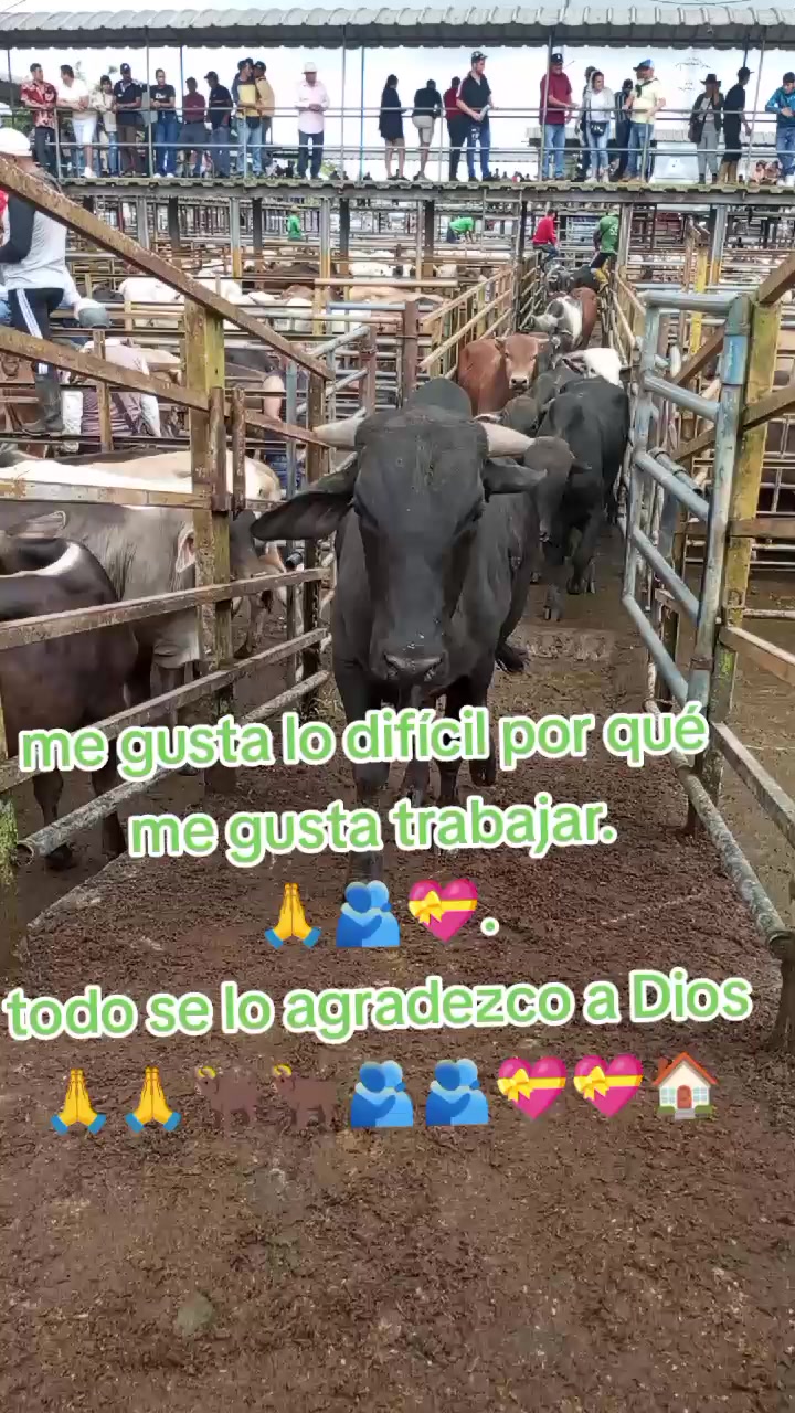 @🌟MRLN😘🫶🪷☘️