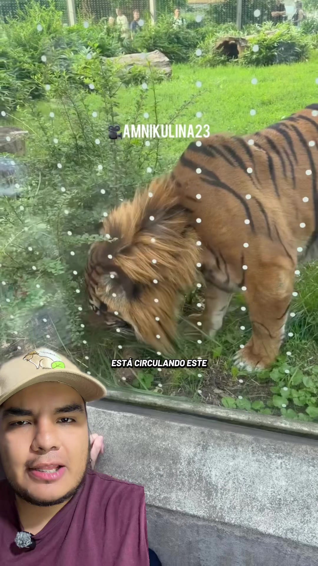 @Jair Herrera 🐆