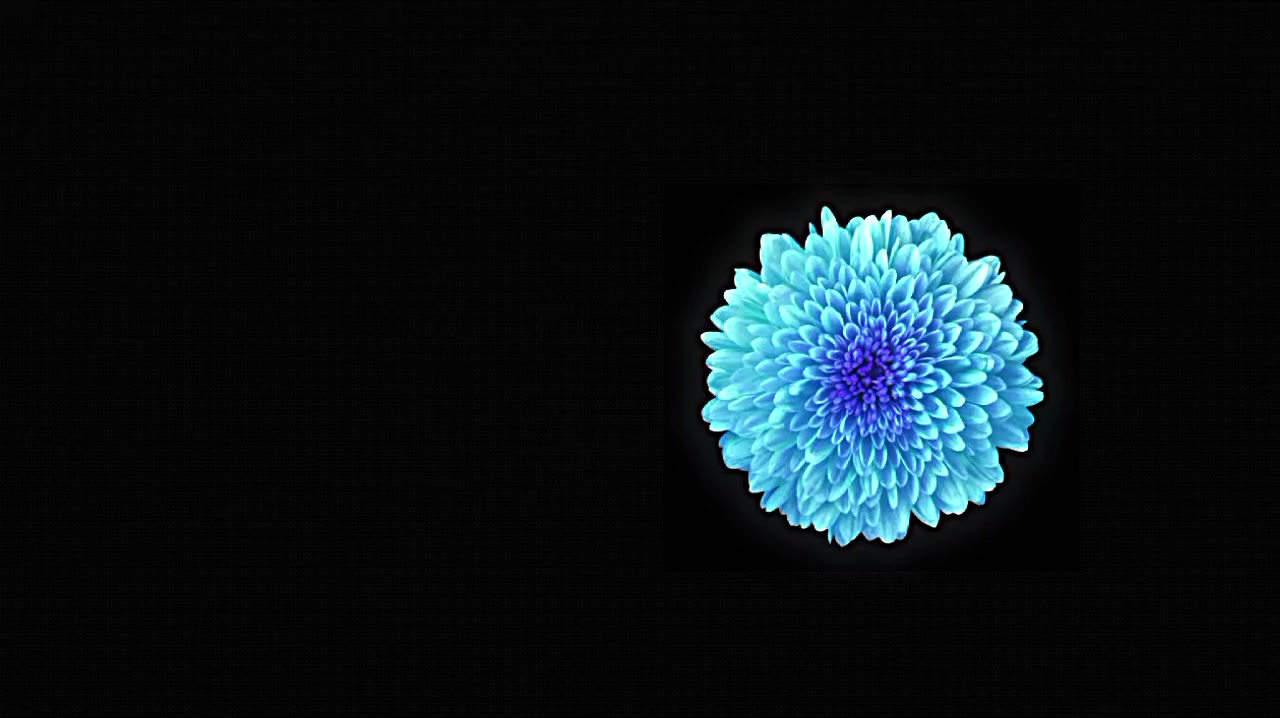 @𝘷𝘦𝘭𝘮𝘮𝘳𝘢𝘺𝘹