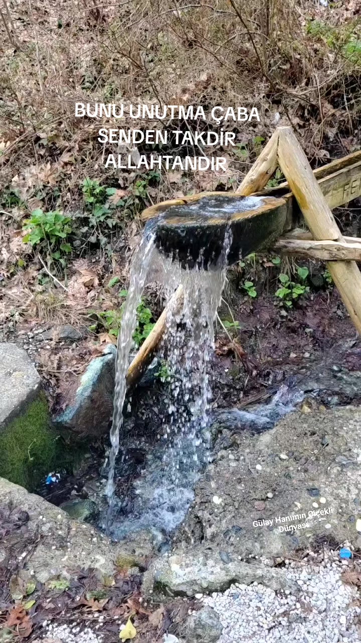 @G&uuml;lay Hanımın &Ccedil;i&ccedil;ekli D&uuml;nyası