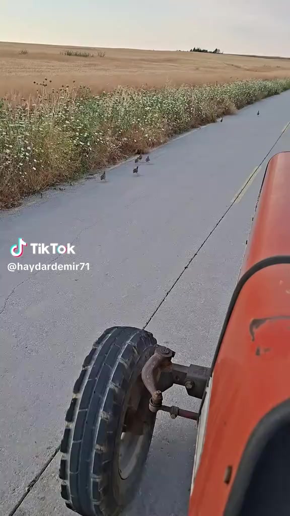 @özkan