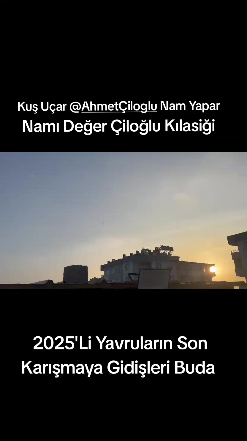 @&Ccedil;İLOĞLU KLASİĞİ