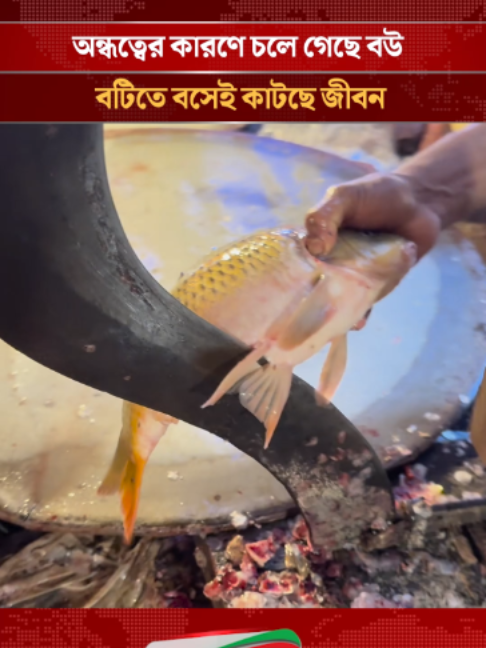 @mytv Bangladesh