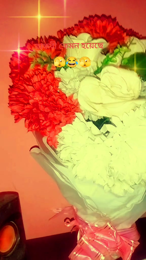 @🥰 মা-বাবার রাজকন্যা 🥰