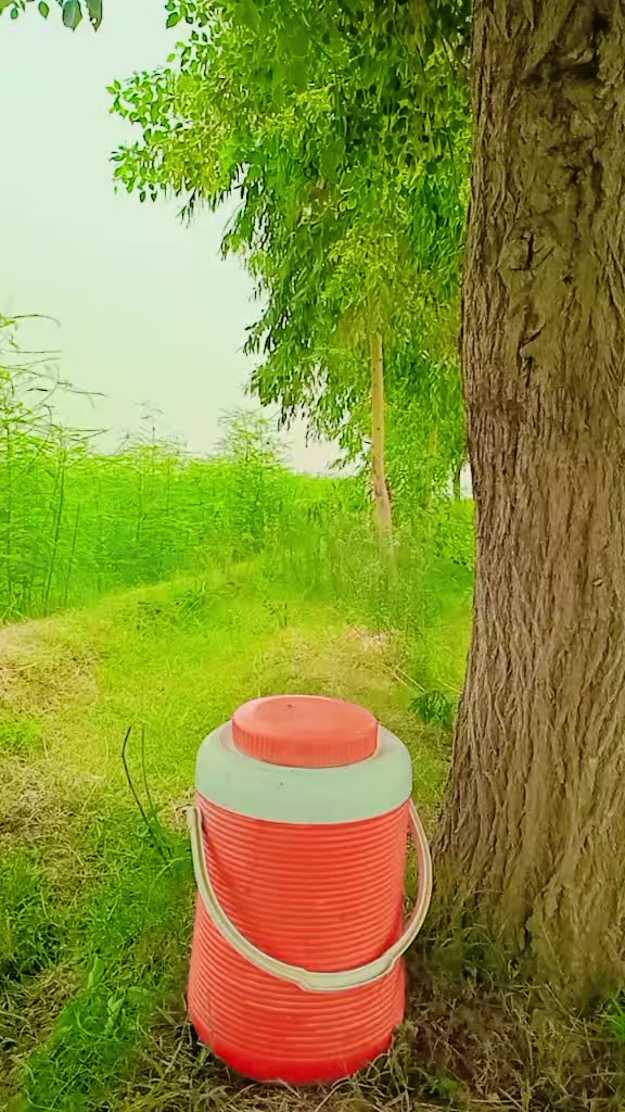 @❤❤گوپانگ بلوچ  ❤❤
