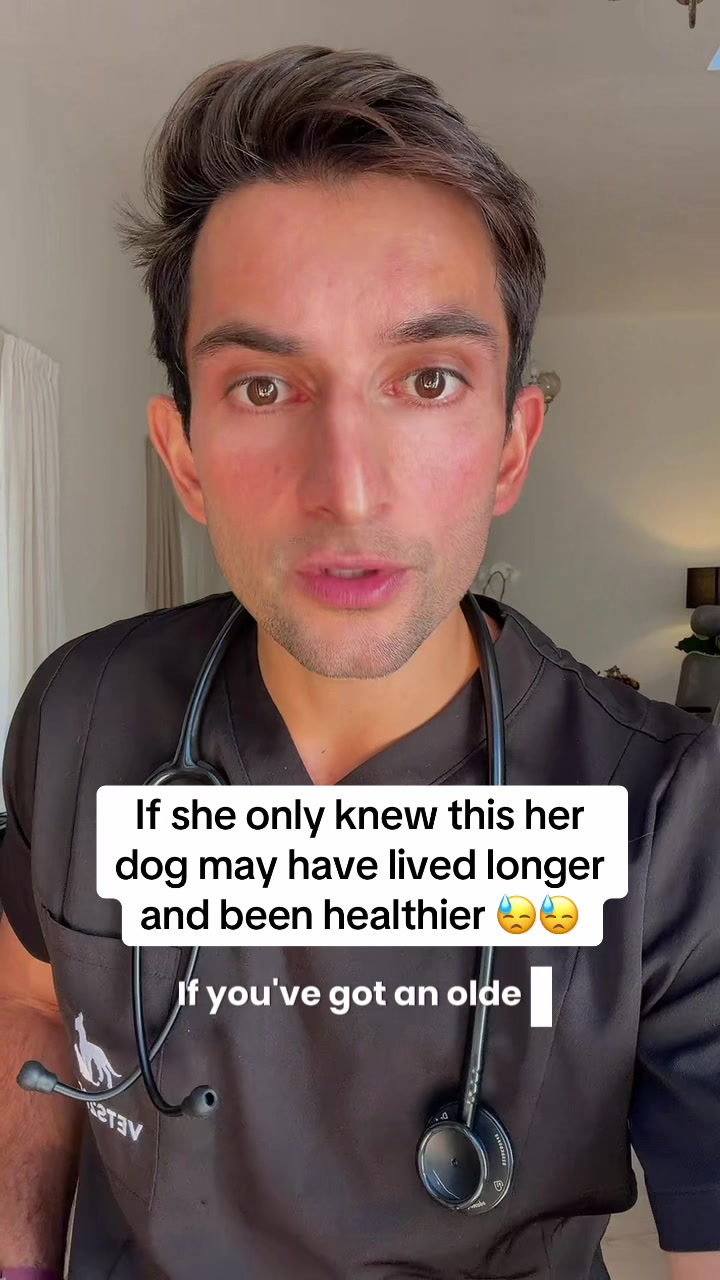 @Amir the vet