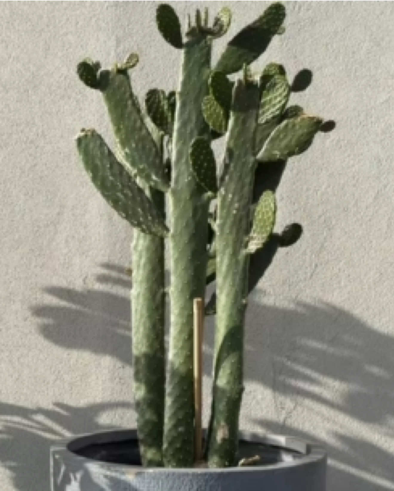 @لطيفـه