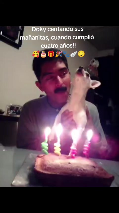 @LilyTajonar🦵🏻🪽😔
