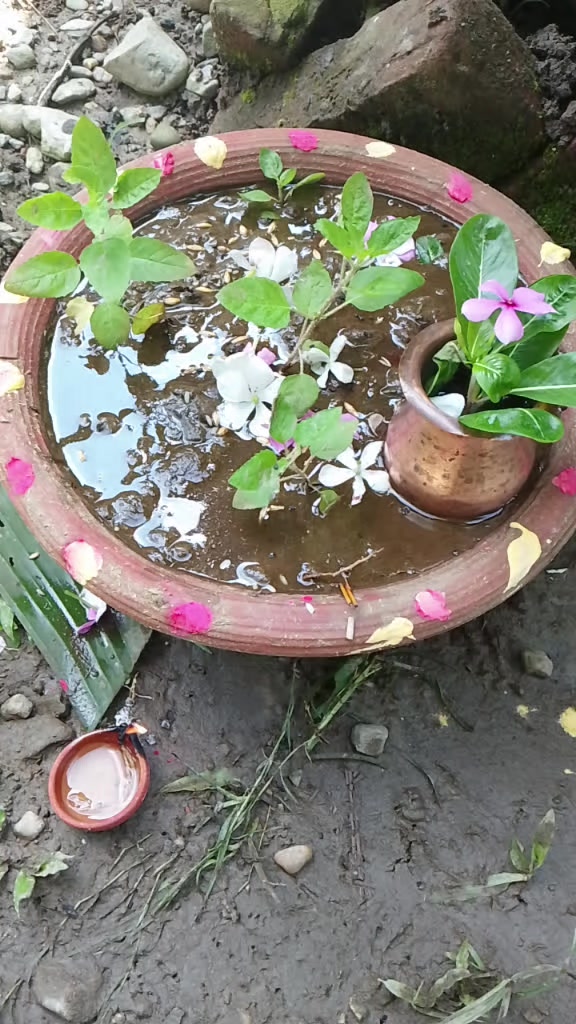 @rinkisardar768