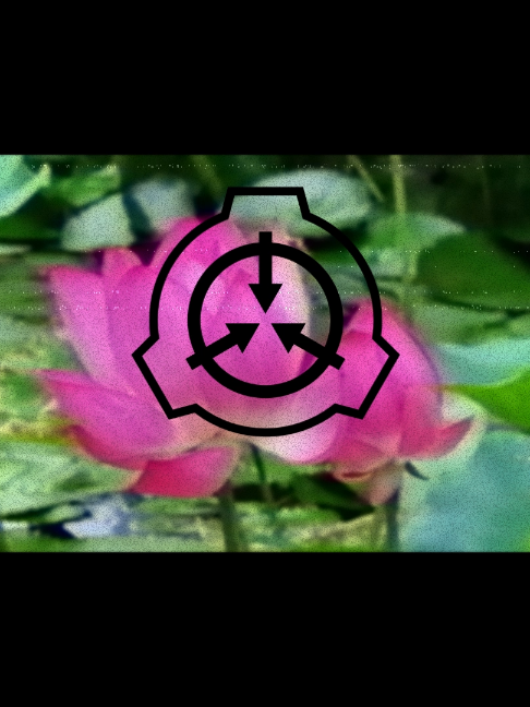 @☢️all about scp☣️