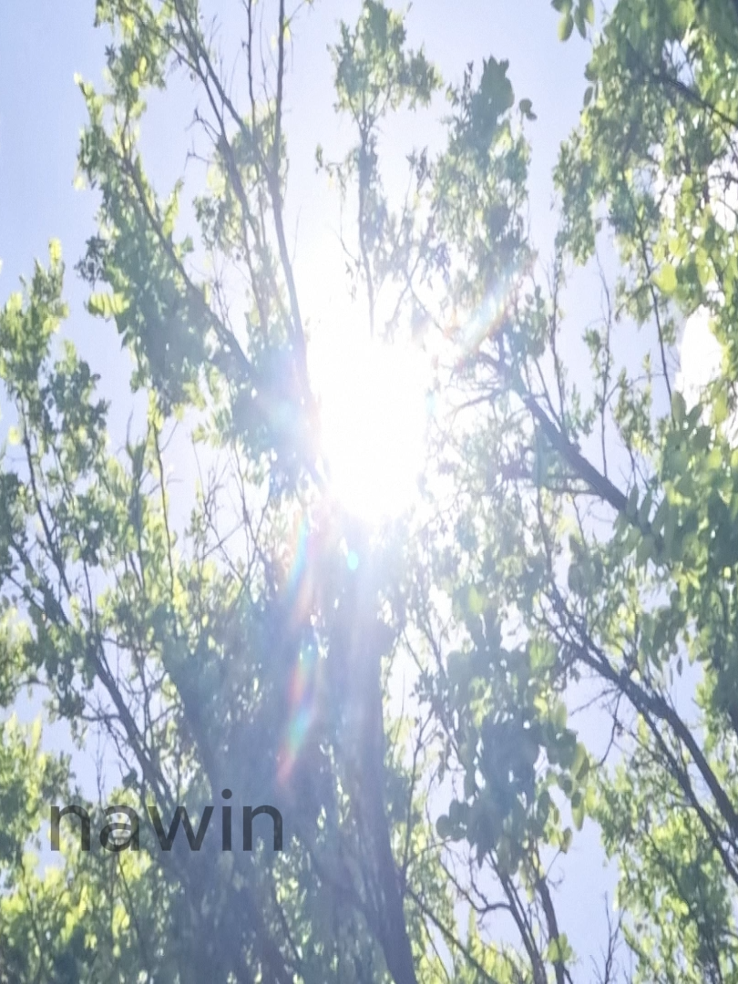 @🌲Typhoon🇺🇳