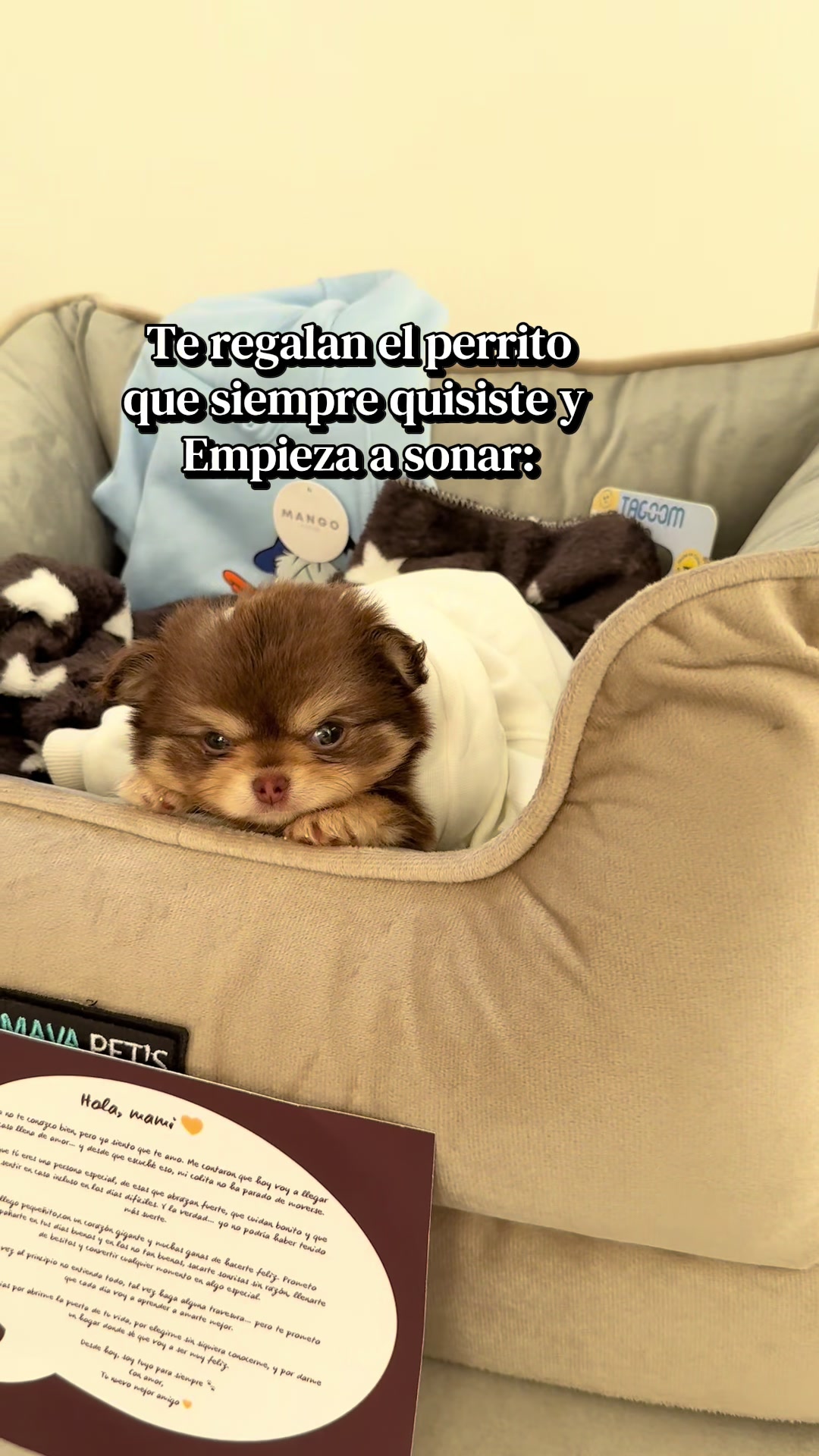 @Manuela ruiz